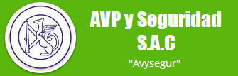 AVP y Seguridad SAC