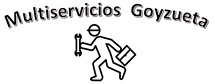 Servicios Goyzueta