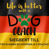 Dog Coach Expert